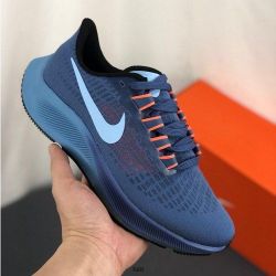 Nike pagasus 37 (7A Quality)