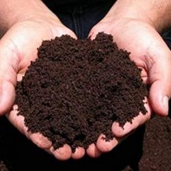 Vermicompost
