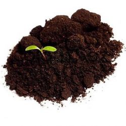 Vermicompost