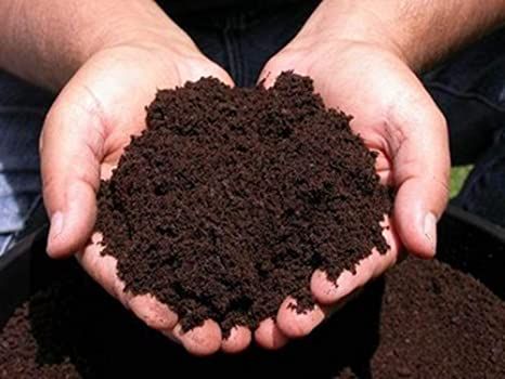 Vermicompost