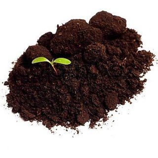 Vermicompost