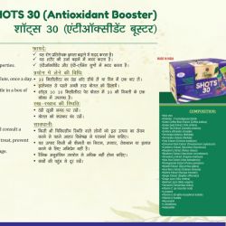 Short 30 AWPL Best Product 