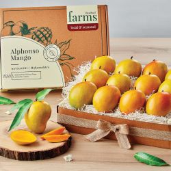 Alphonso - Devgad Hapus, 