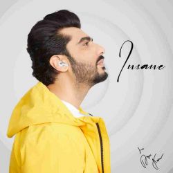 Insane earbuds Landmark TWS 