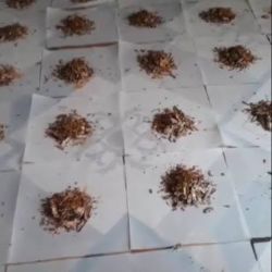 138 , 120 , 300 , 160 mavo 