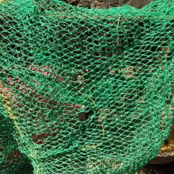 ?????? ????? ?? ???? ???? ?? ???