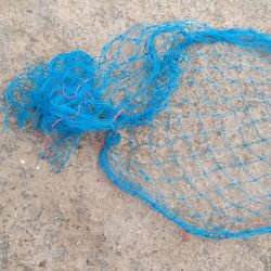 ?????? ????? ?? ???? ???? ?? ???