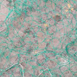 ?????? ????? ?? ???? ???? ?? ???