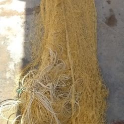 ?????? ????? ?? ???? ???? ?? ???