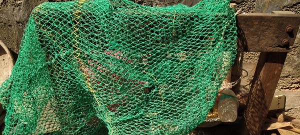 ?????? ????? ?? ???? ???? ?? ???