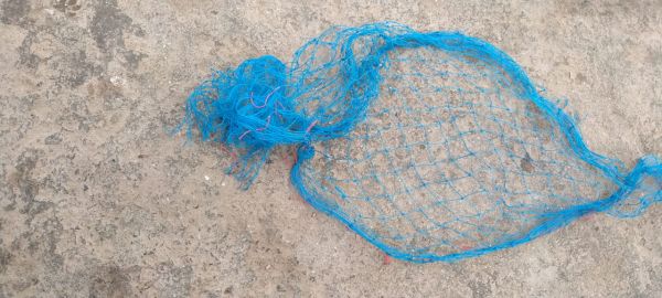 ?????? ????? ?? ???? ???? ?? ???