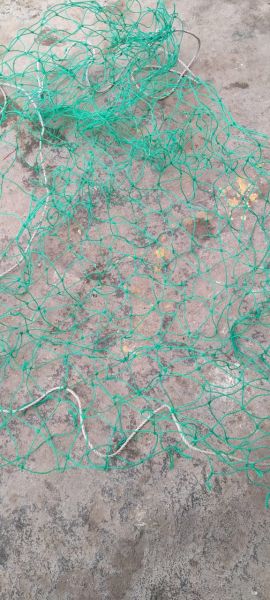 ?????? ????? ?? ???? ???? ?? ???