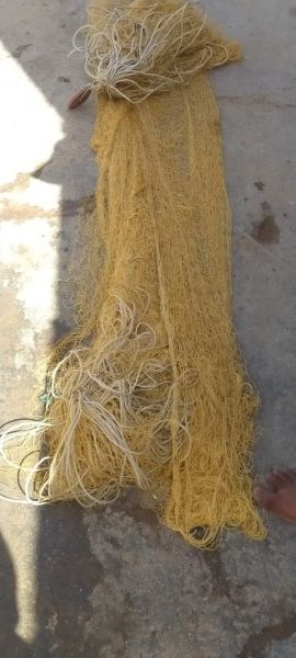 ?????? ????? ?? ???? ???? ?? ???