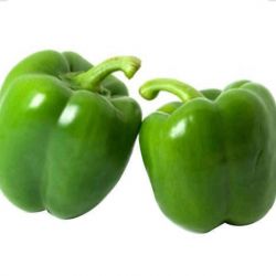 Capsicum 
