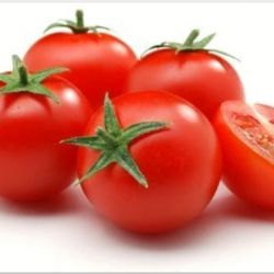 Tomato 