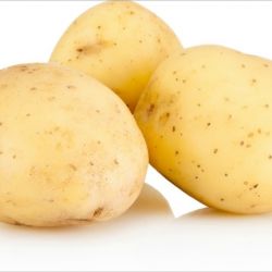 Potato 
