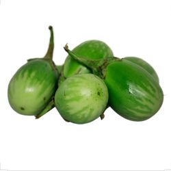 Brinjal