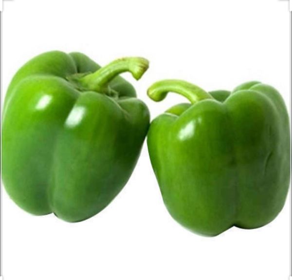 Capsicum 