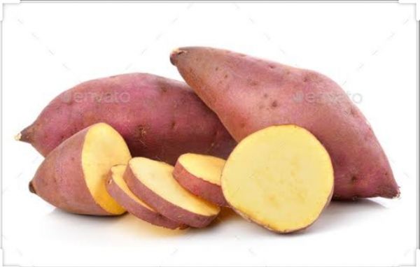 Sweet potato 