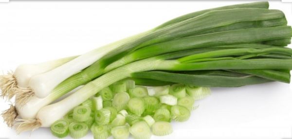 Green onions 