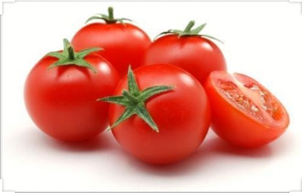 Tomato 