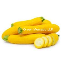 YELLOW ZUCCHINI