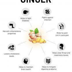 Ginger (????)-250 gm