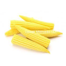 BABY CORN (???? ????)