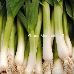 Green garlic (???? ???)