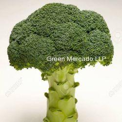 Broccoli.