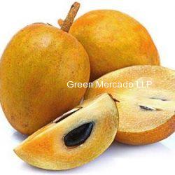 Sapodilla plum (????) Chiku-500gm