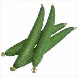Sponge gourd (????) galka 1