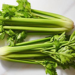 celery (?????)
