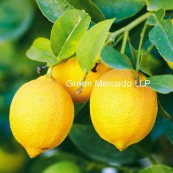 LEMON (?????)-250 gm