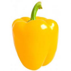 Yellow Bell Pepper (???? ????? ?????)