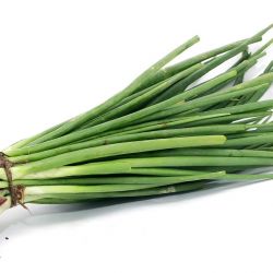 Spring Onion