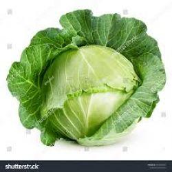 Cabbage