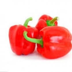 Red Bell Pepper (??? ????? ????)