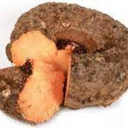 ELEPHANT FOOT YAM (????)