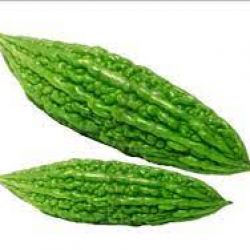 Bitter Gourd.