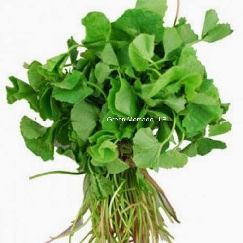 ??????? ?? ????-Tanjaliya ni bhaji