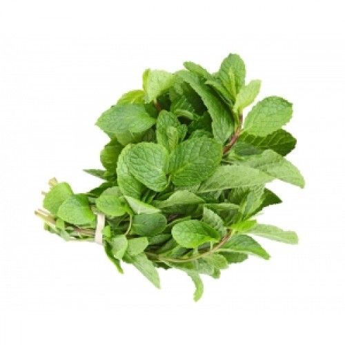 Mint Leaves (??????)