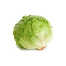 Lettuce-