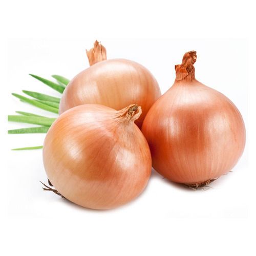Onion (???? ??????)
