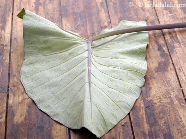 COLOCASIA LEAVES (???? ?? ???)