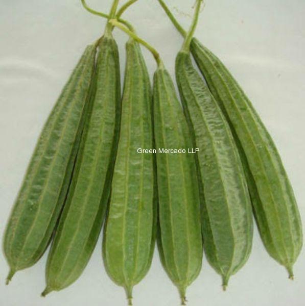 Ridge Gourd (??????) turiya-500gm