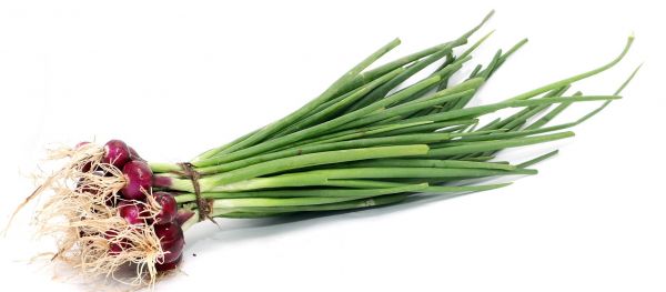 Spring Onion
