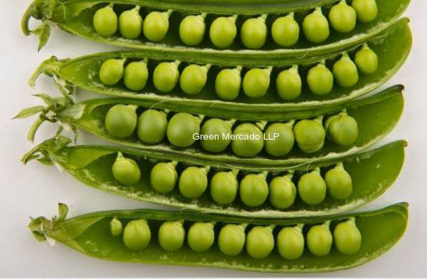 Green Peas ( ?????)