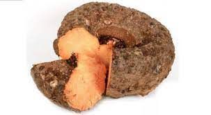 ELEPHANT FOOT YAM (????)