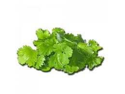 Coriander (??????)